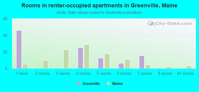 Rooms in renter-occupied apartments in Greenville, Maine