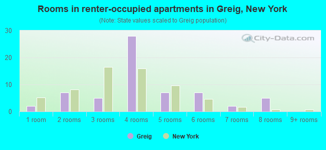 Rooms in renter-occupied apartments in Greig, New York