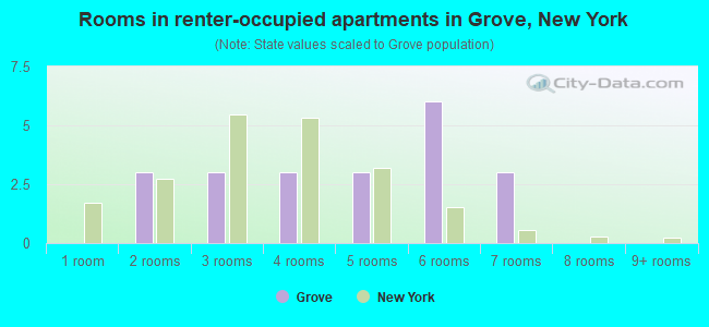 Rooms in renter-occupied apartments in Grove, New York