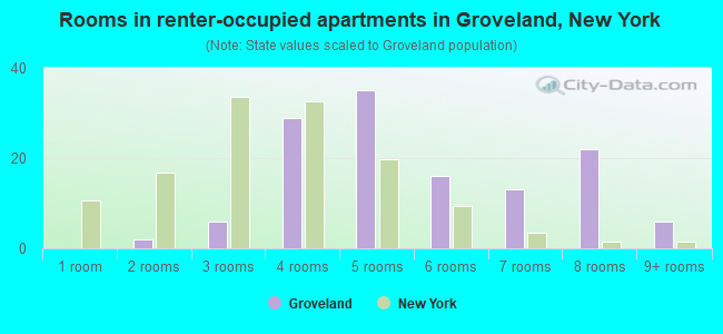 Rooms in renter-occupied apartments in Groveland, New York