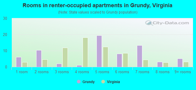 Rooms in renter-occupied apartments in Grundy, Virginia