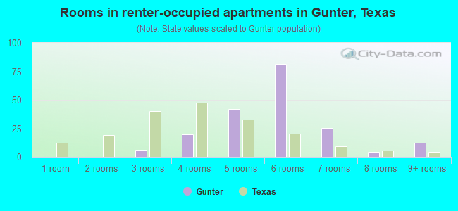 Rooms in renter-occupied apartments in Gunter, Texas