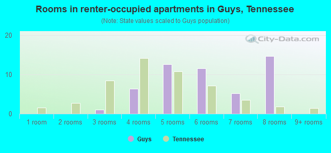 Rooms in renter-occupied apartments in Guys, Tennessee