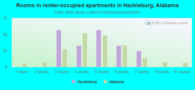 Rooms in renter-occupied apartments in Hackleburg, Alabama