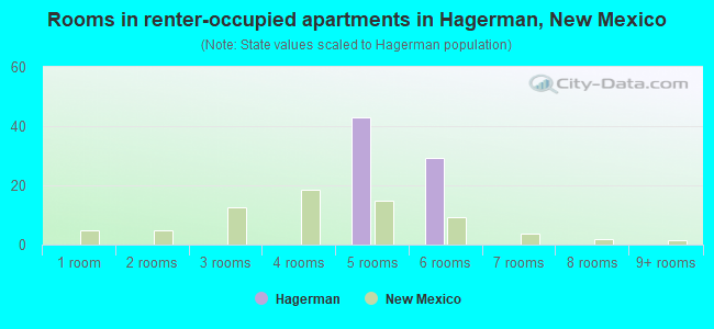 Rooms in renter-occupied apartments in Hagerman, New Mexico