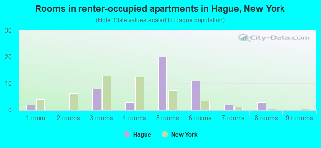 Rooms in renter-occupied apartments in Hague, New York