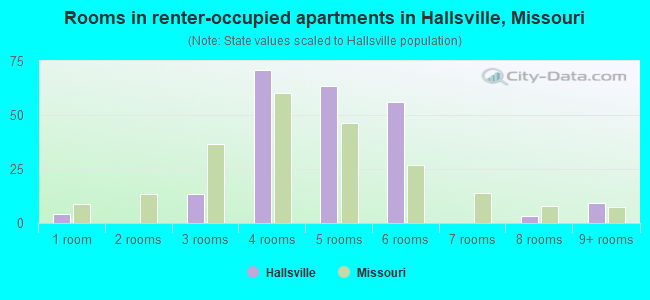 Rooms in renter-occupied apartments in Hallsville, Missouri