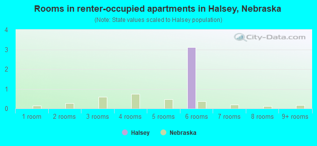 Rooms in renter-occupied apartments in Halsey, Nebraska