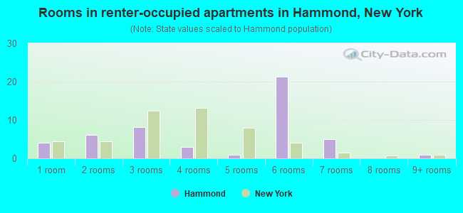 Rooms in renter-occupied apartments in Hammond, New York