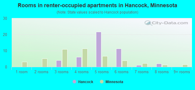 Rooms in renter-occupied apartments in Hancock, Minnesota