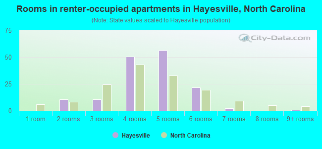 Rooms in renter-occupied apartments in Hayesville, North Carolina