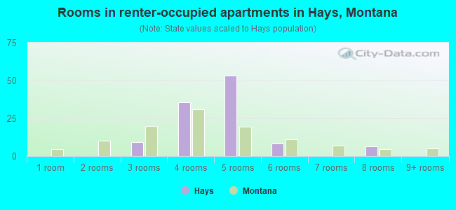 Rooms in renter-occupied apartments in Hays, Montana