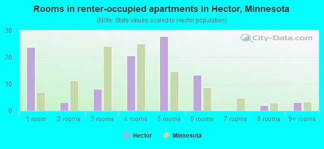 Rooms in renter-occupied apartments in Hector, Minnesota