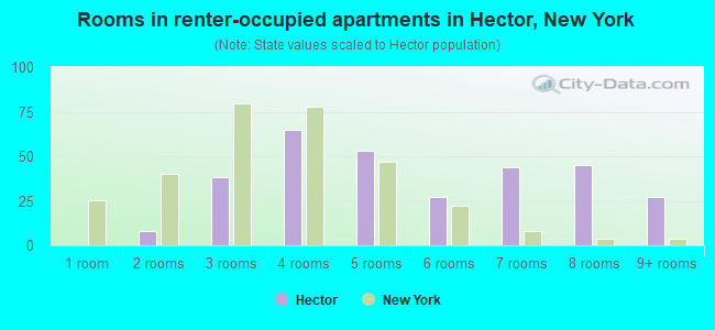 Rooms in renter-occupied apartments in Hector, New York