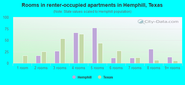 Rooms in renter-occupied apartments in Hemphill, Texas