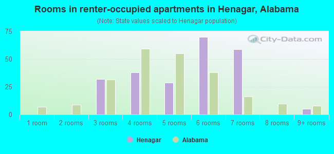 Rooms in renter-occupied apartments in Henagar, Alabama