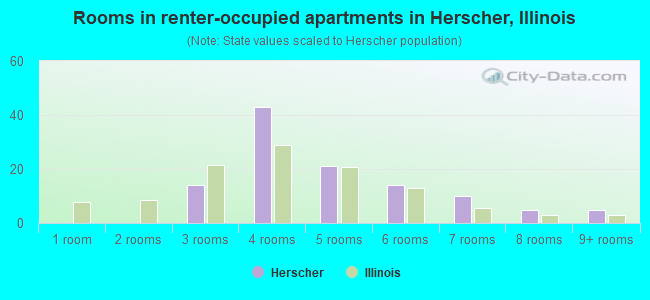 Rooms in renter-occupied apartments in Herscher, Illinois