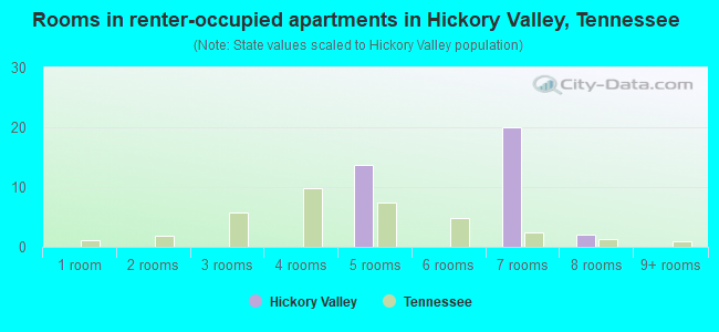 Rooms in renter-occupied apartments in Hickory Valley, Tennessee