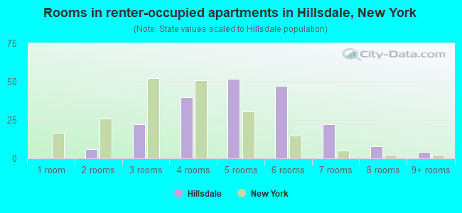 Rooms in renter-occupied apartments in Hillsdale, New York