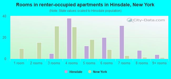 Rooms in renter-occupied apartments in Hinsdale, New York