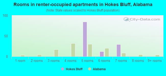 Rooms in renter-occupied apartments in Hokes Bluff, Alabama