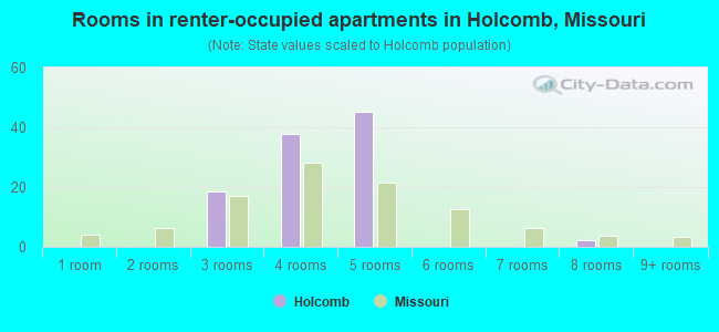 Rooms in renter-occupied apartments in Holcomb, Missouri