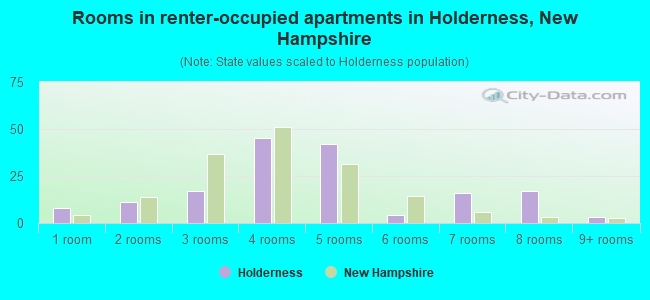 Rooms in renter-occupied apartments in Holderness, New Hampshire