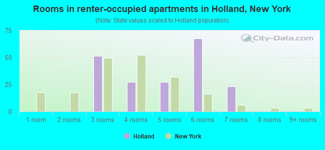 Rooms in renter-occupied apartments in Holland, New York