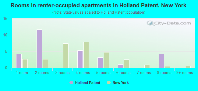 Rooms in renter-occupied apartments in Holland Patent, New York