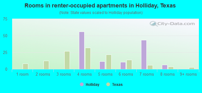 Rooms in renter-occupied apartments in Holliday, Texas