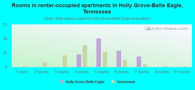 Rooms in renter-occupied apartments in Holly Grove-Belle Eagle, Tennessee