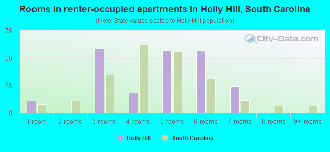 Rooms in renter-occupied apartments in Holly Hill, South Carolina