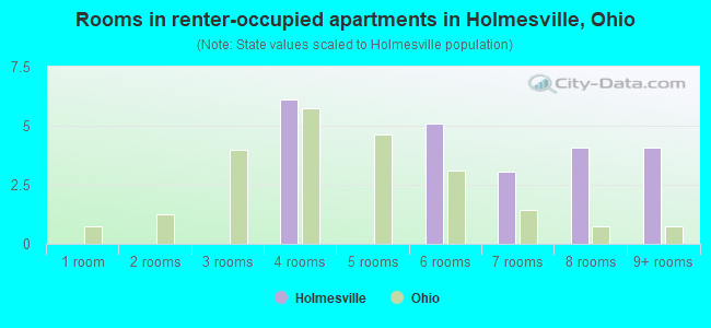 Rooms in renter-occupied apartments in Holmesville, Ohio