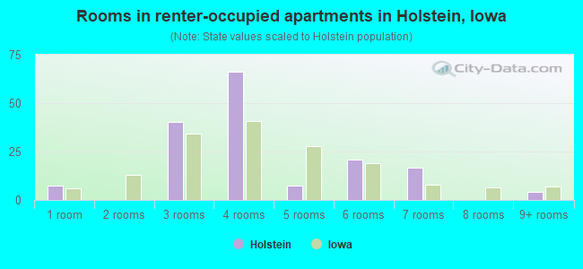 Rooms in renter-occupied apartments in Holstein, Iowa