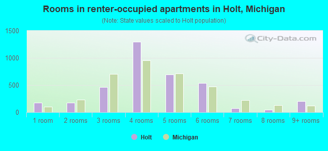 Rooms in renter-occupied apartments in Holt, Michigan