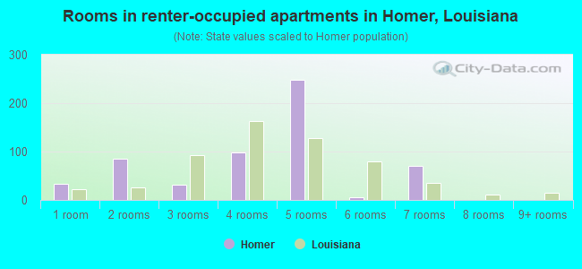 Rooms in renter-occupied apartments in Homer, Louisiana