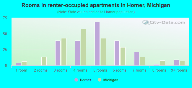 Rooms in renter-occupied apartments in Homer, Michigan