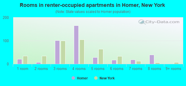 Rooms in renter-occupied apartments in Homer, New York