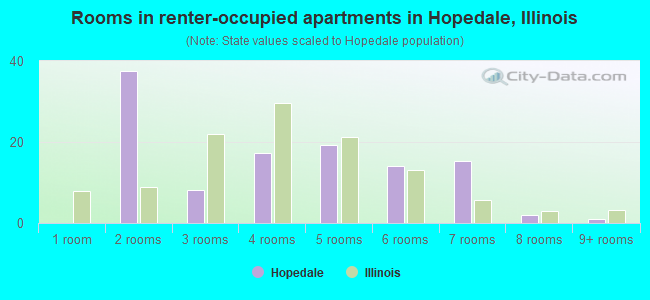 Rooms in renter-occupied apartments in Hopedale, Illinois