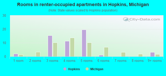 Rooms in renter-occupied apartments in Hopkins, Michigan