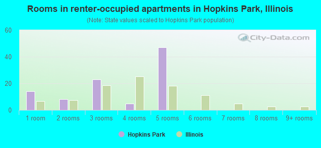 Rooms in renter-occupied apartments in Hopkins Park, Illinois