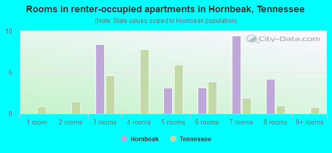 Rooms in renter-occupied apartments in Hornbeak, Tennessee