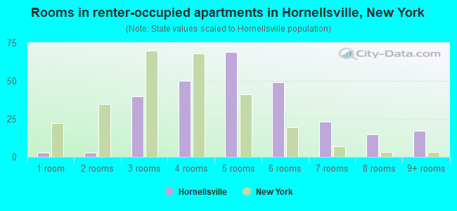 Rooms in renter-occupied apartments in Hornellsville, New York