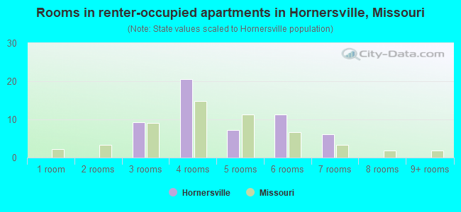 Rooms in renter-occupied apartments in Hornersville, Missouri