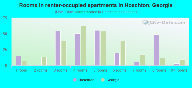 Rooms in renter-occupied apartments in Hoschton, Georgia