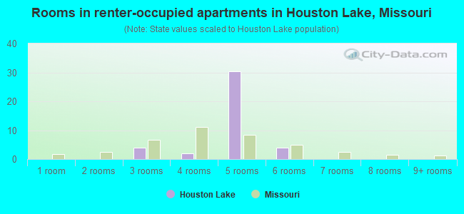 Rooms in renter-occupied apartments in Houston Lake, Missouri