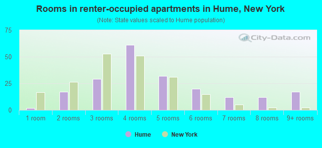 Rooms in renter-occupied apartments in Hume, New York