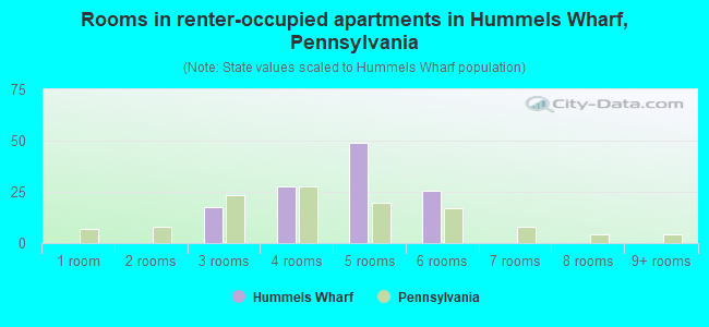 Rooms in renter-occupied apartments in Hummels Wharf, Pennsylvania