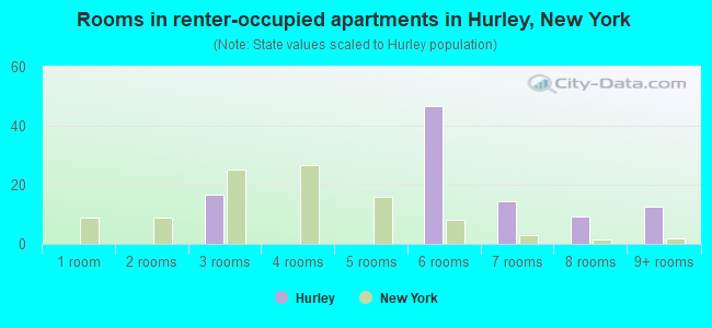 Rooms in renter-occupied apartments in Hurley, New York