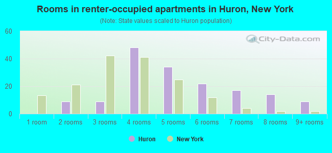 Rooms in renter-occupied apartments in Huron, New York